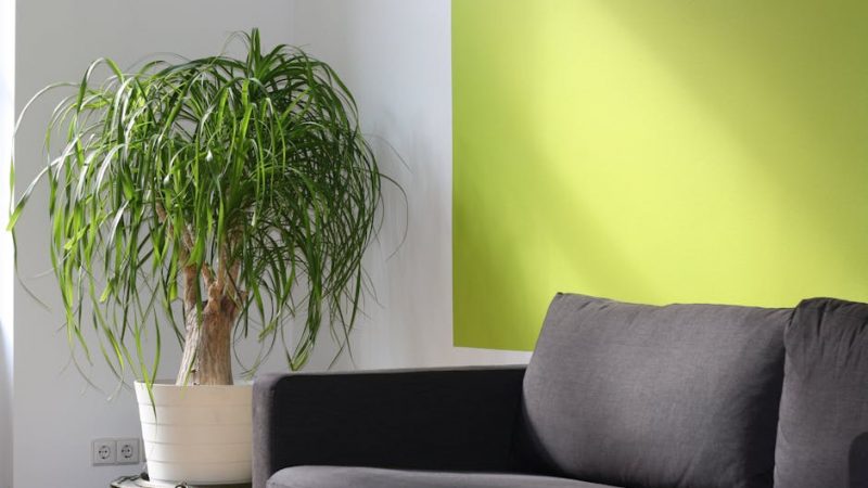 Инверторная сплит-система 7 в Мытищах